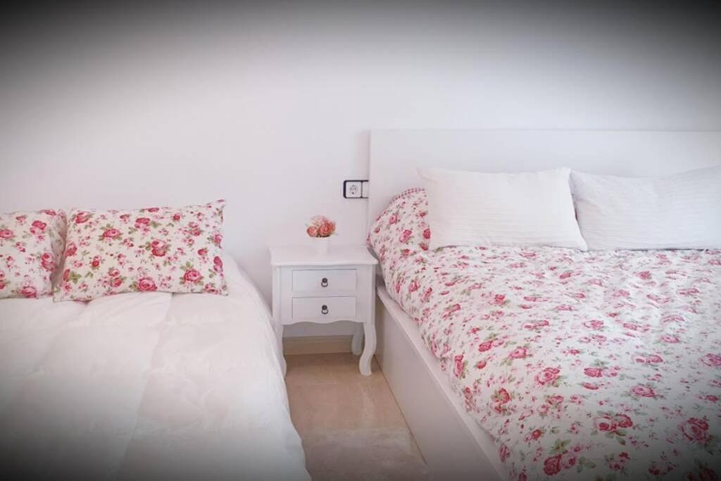 Apartamento Pepa. En El Corazon Del Delta. Sant Jaume d’Enveja Exterior foto